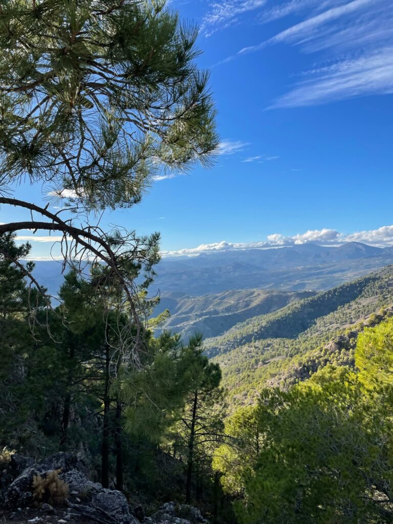 Tanjas, Flow-Workshop Retreat in Andalusien, Gegend, Weitsicht