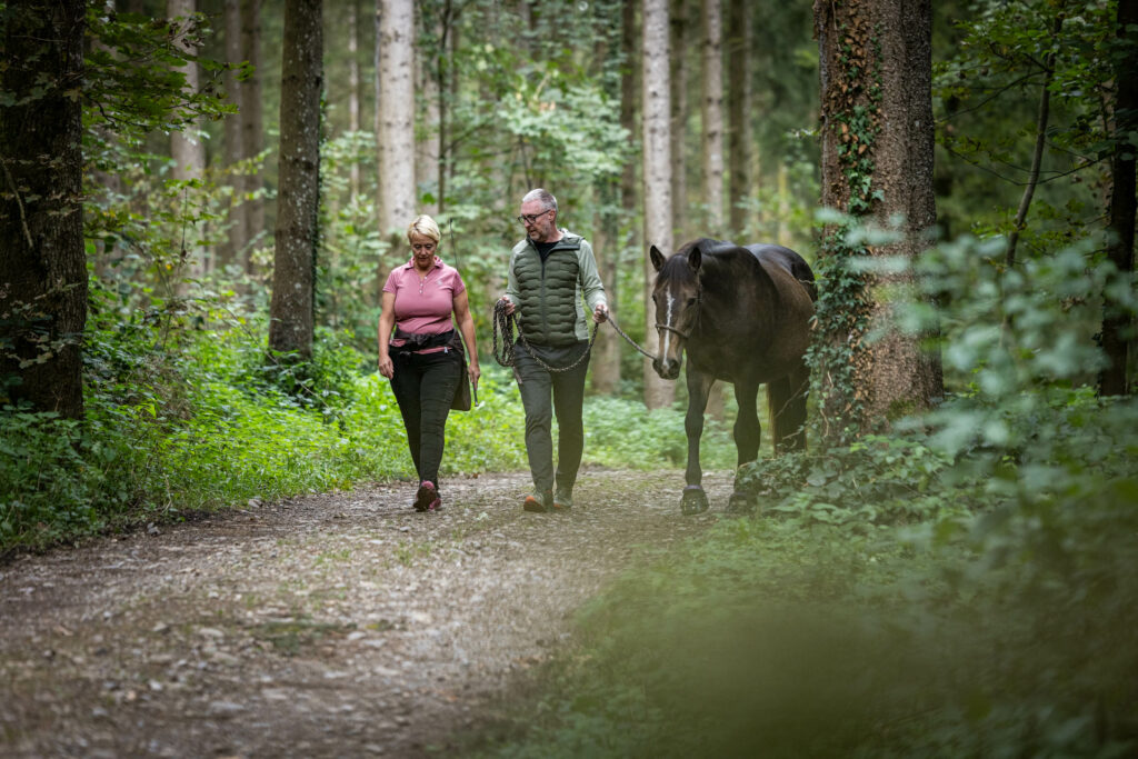 Walk&Talk Coaching mit Pferden